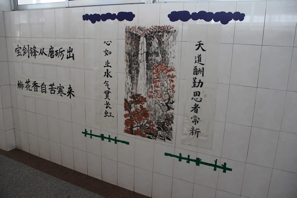我校走廊文化图