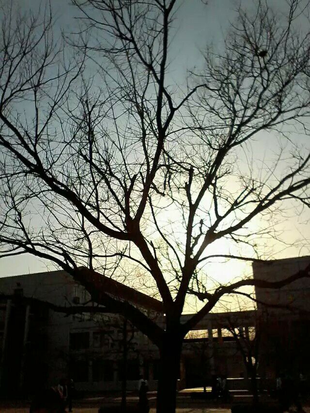 校园风光
