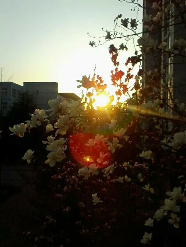 校园风光