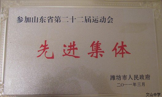 近三年获得的荣誉