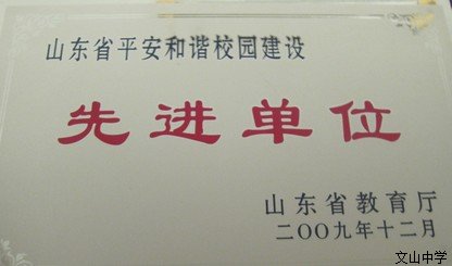 近三年获得的荣誉
