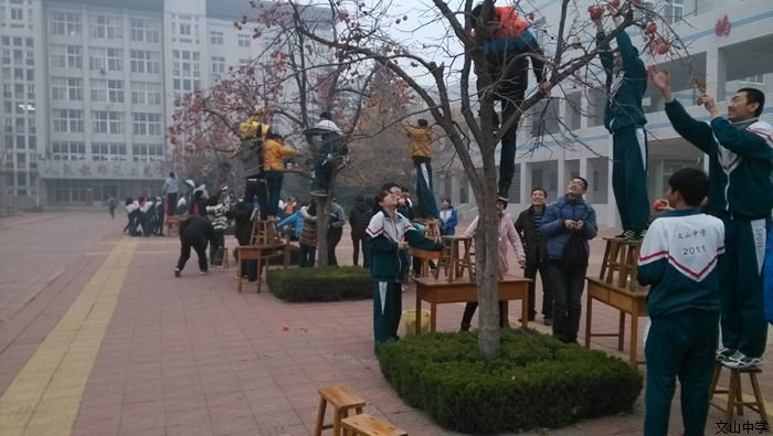 金秋“柿”节，丰收在握