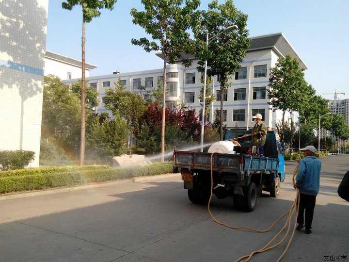 我校积极行动 防止悬铃木方翅网蝽