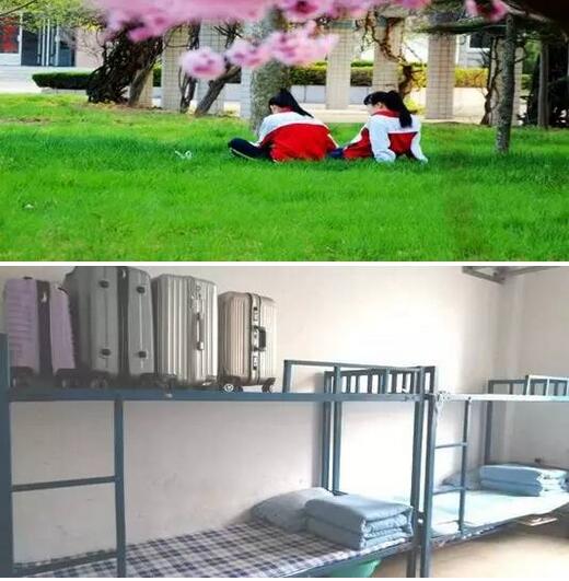 学子心声丨我为什么要到文山初中读书？