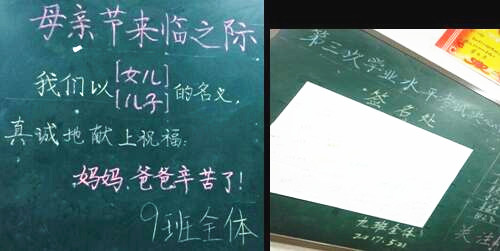 工作随笔丨做一名宁静的唤醒者、教育者、陪伴者
