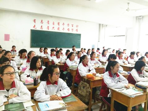 工作随笔丨做一名宁静的唤醒者、教育者、陪伴者