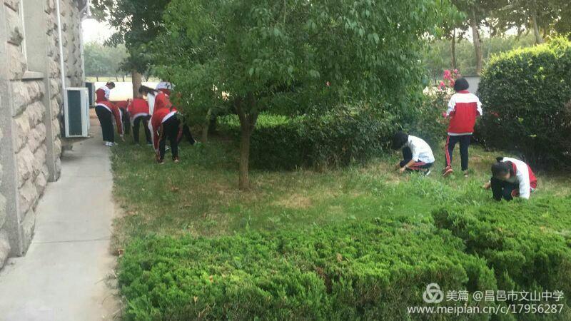 创城大家努力，文明你我传递！