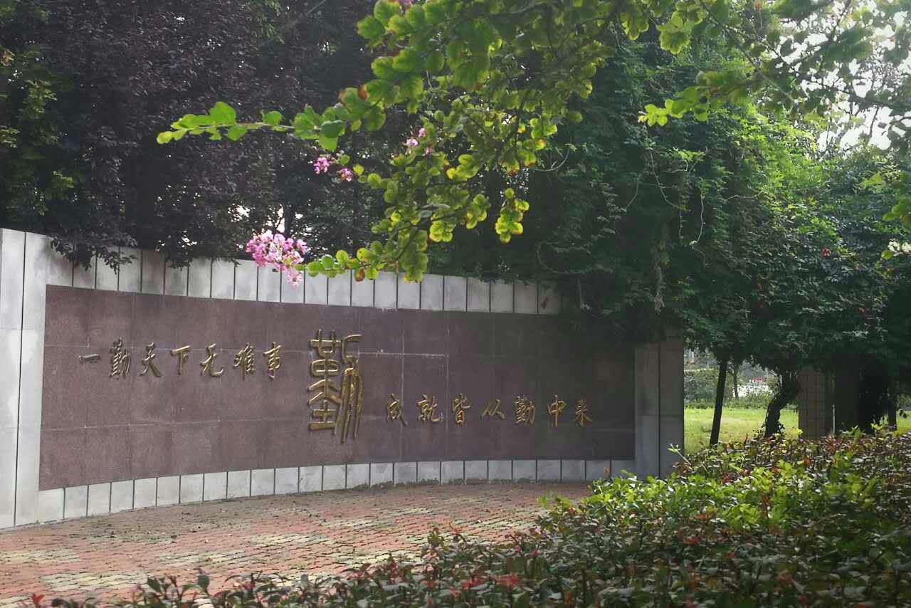 创城感悟：心灵的洗礼，文明的升华！