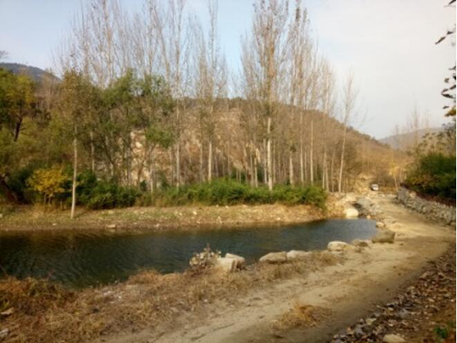 美术学子蒙山行，醉在金秋画意浓