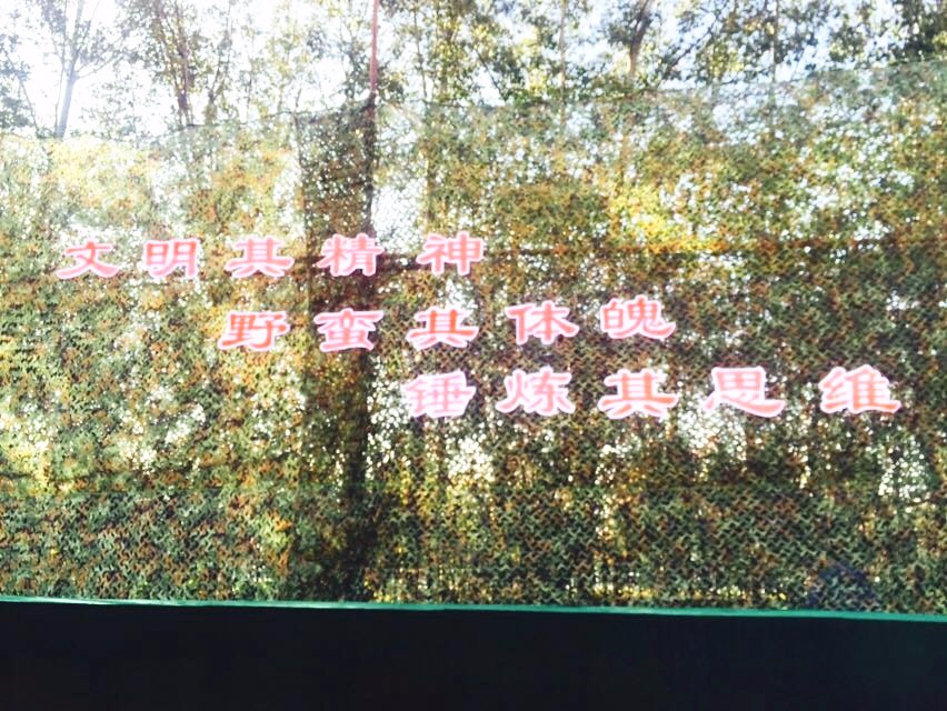 激情校园 | 沙场秋点兵，沸腾读书声！