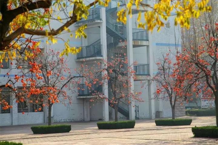 家长心声 | 家长会后，家长们的心也“沸腾”了！