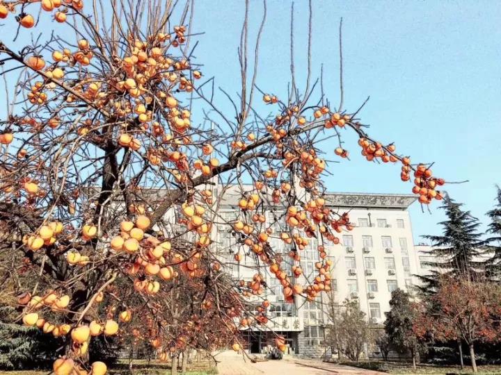 家长心声 | 家长会后，家长们的心也“沸腾”了！