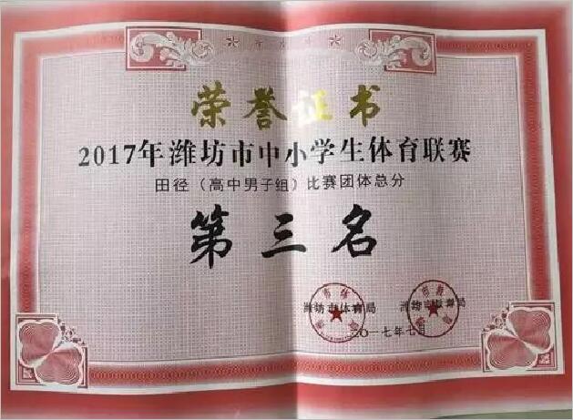 文中燃情，艺体逐梦，正是少年芳华时 ——艺体部近期成绩汇总