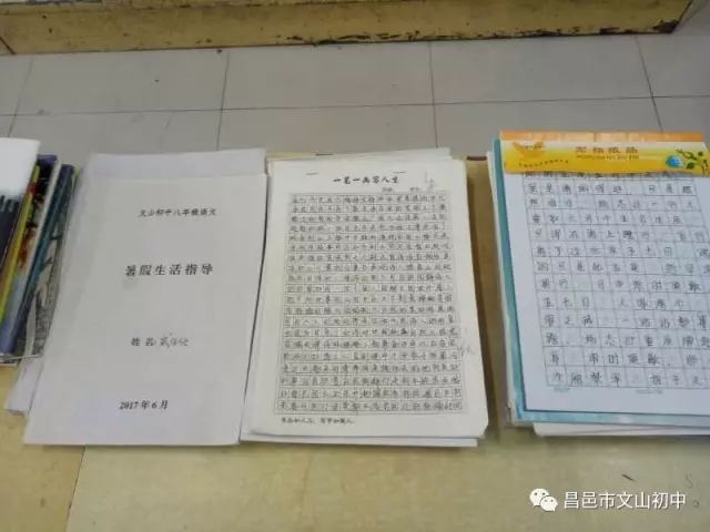 精彩假期 | 昌邑市文山初中 精彩假期我做主