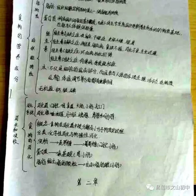 精彩假期 | 昌邑市文山初中 精彩假期我做主