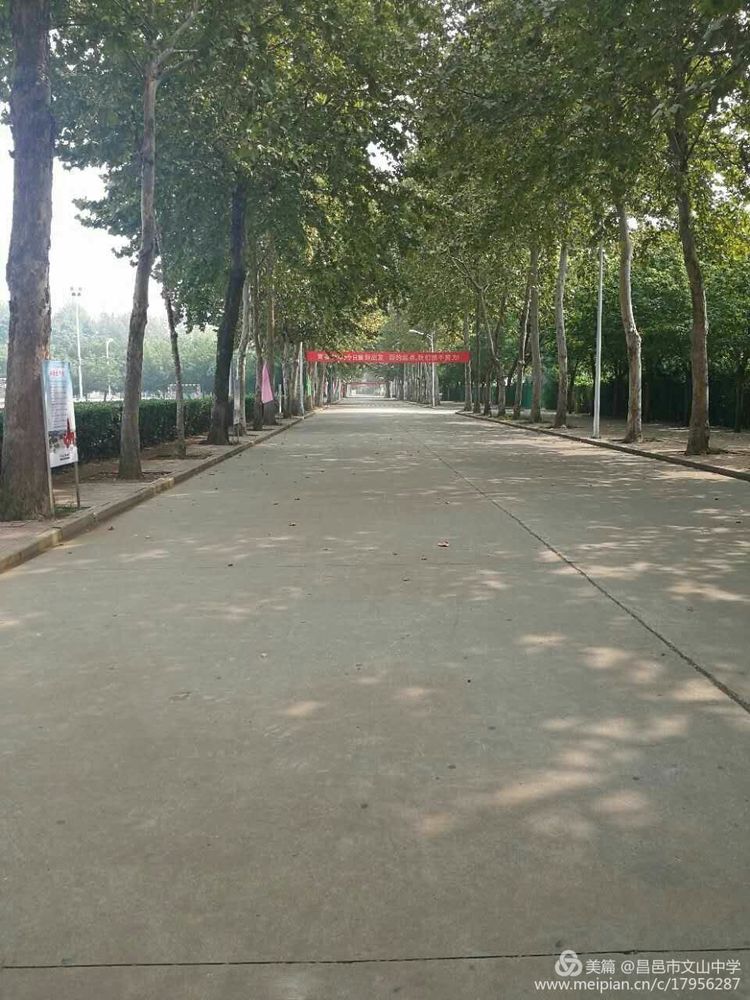 创城大家努力，文明你我传递！