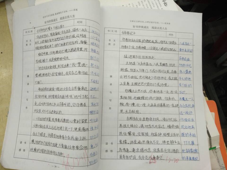家校共建|春风化雨润心田，家校联建创辉煌