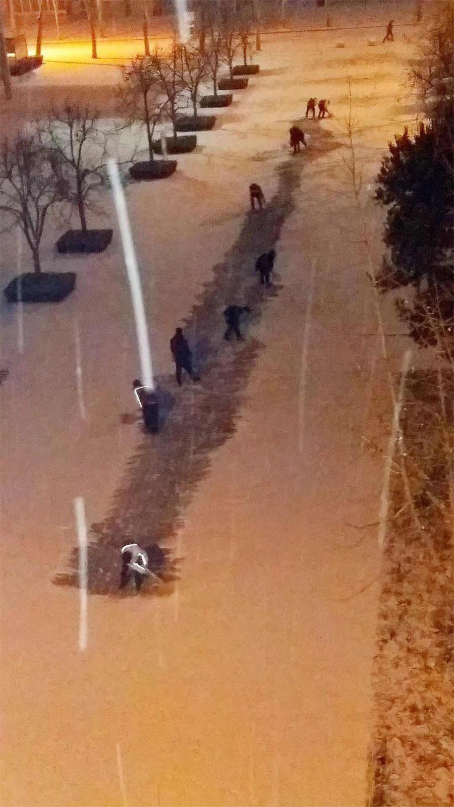 文化文中 | 雪径无声人勤扫，朝来初日春争先！