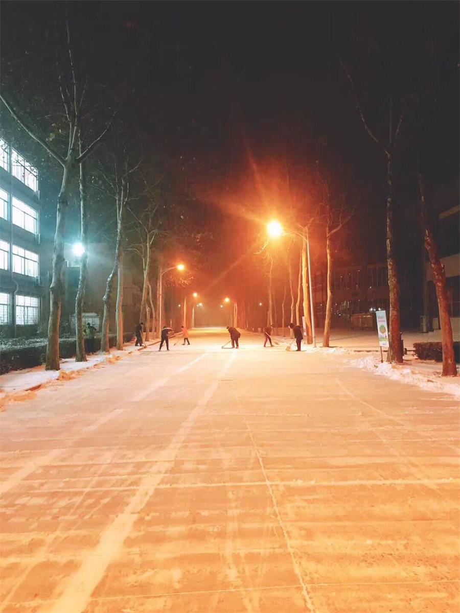 文化文中 | 雪径无声人勤扫，朝来初日春争先！