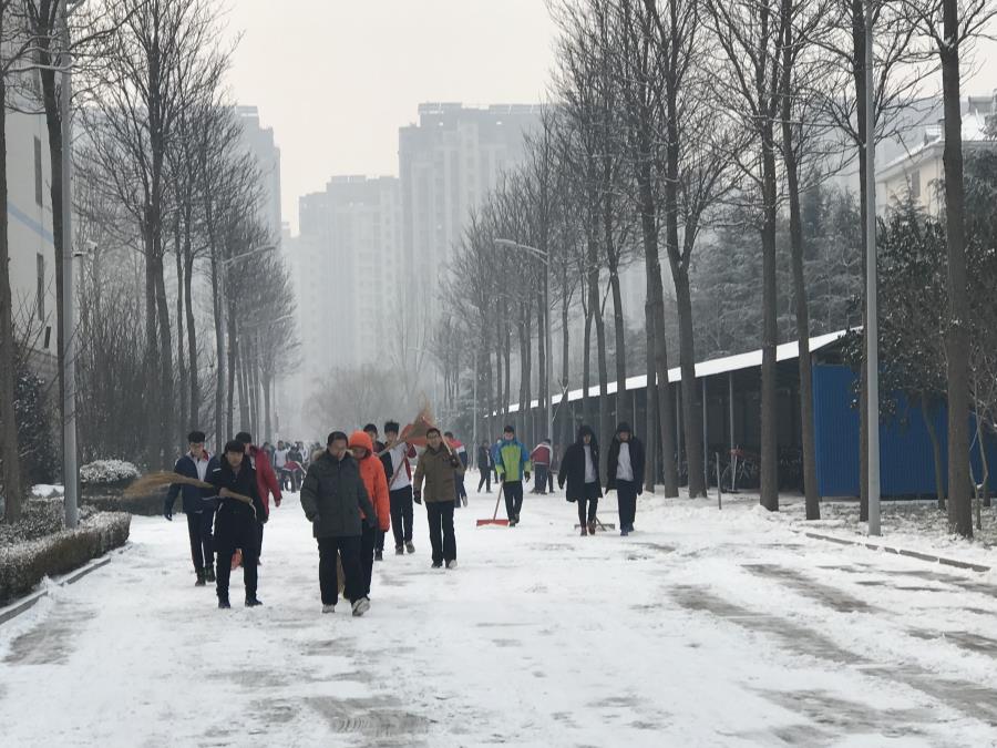 文化文中 | 雪径无声人勤扫，朝来初日春争先！