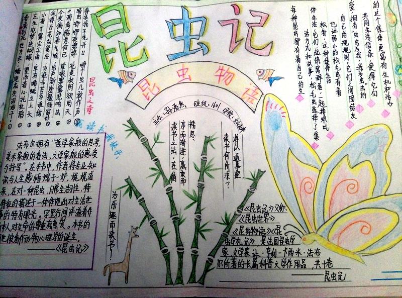 多彩假期 | 昌邑市文山初中：生活因学习而丰富，人生因实践而精彩——昌邑市文山初中优秀作业展示
