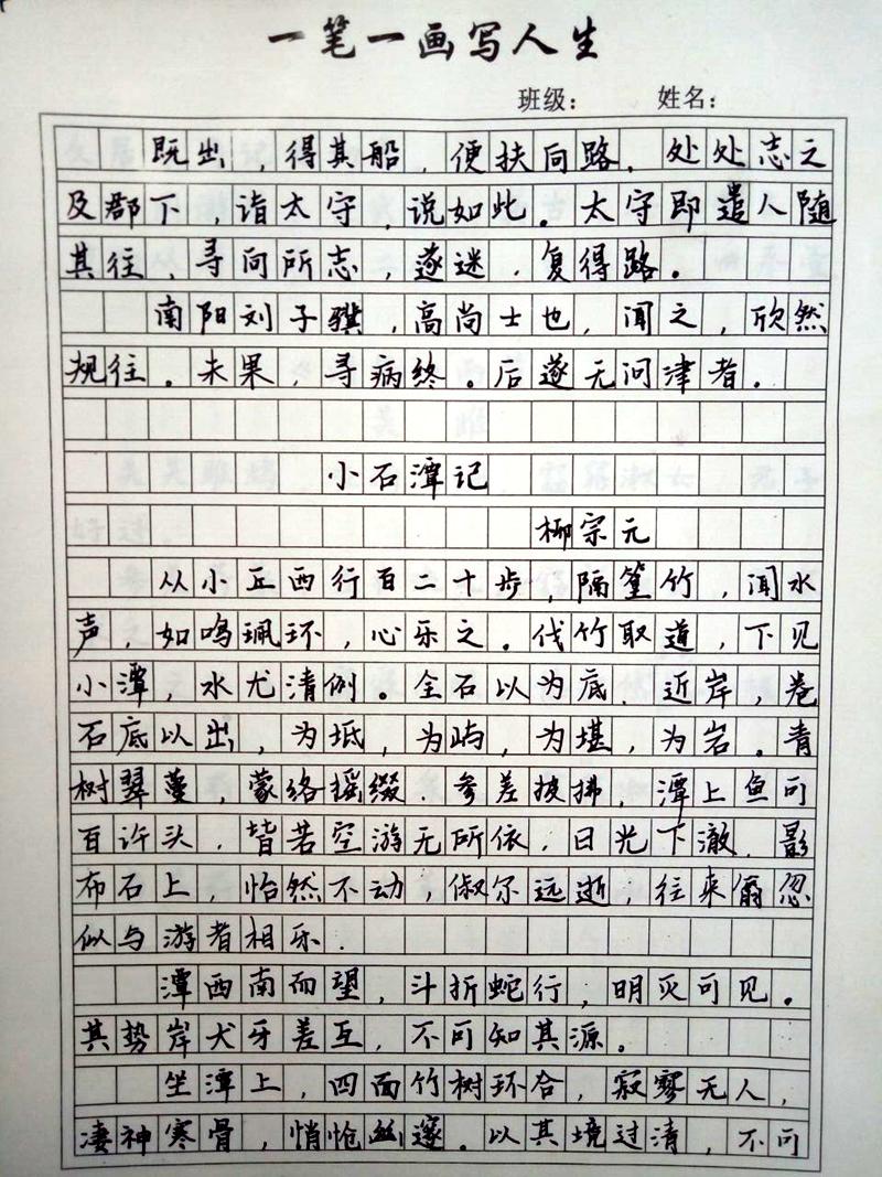 多彩假期 | 昌邑市文山初中：生活因学习而丰富，人生因实践而精彩——昌邑市文山初中优秀作业展示