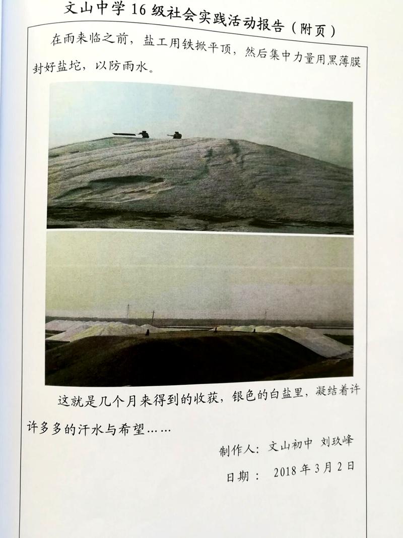 多彩假期 | 昌邑市文山初中：生活因学习而丰富，人生因实践而精彩——昌邑市文山初中优秀作业展示