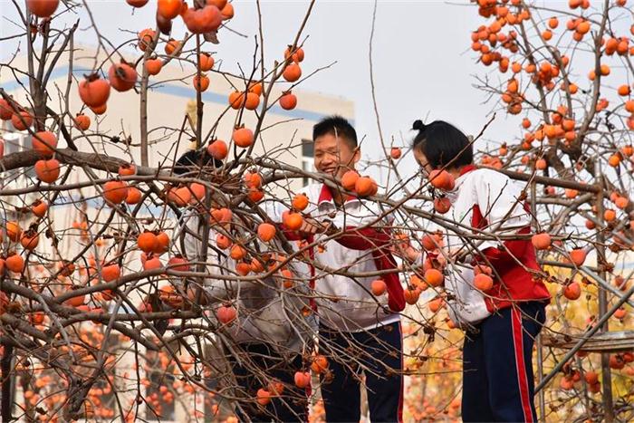 伟大复兴，祖国万岁——我校2018年柿子节！