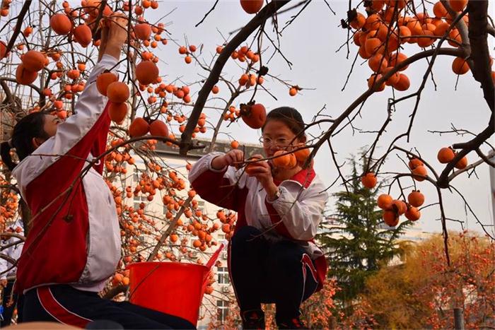 伟大复兴，祖国万岁——我校2018年柿子节！