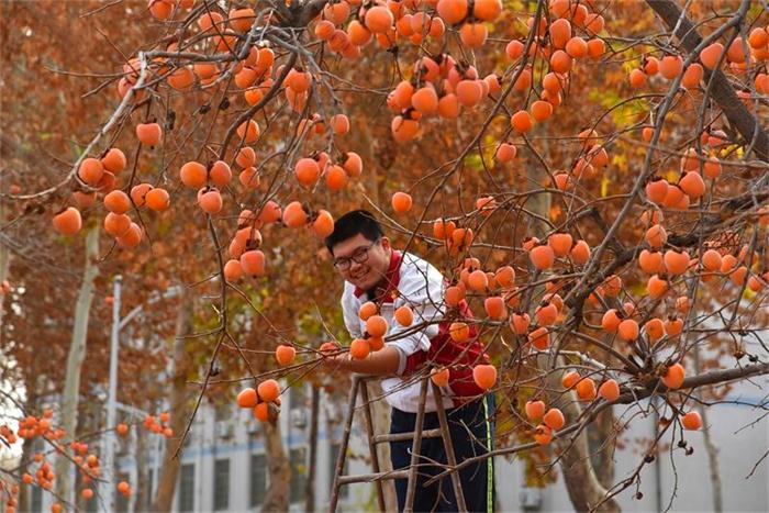 伟大复兴，祖国万岁——我校2018年柿子节！