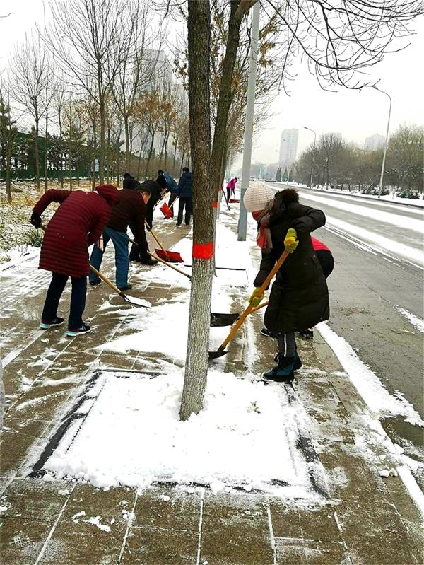 天寒地冻冰雪日，文中师生扫雪忙！