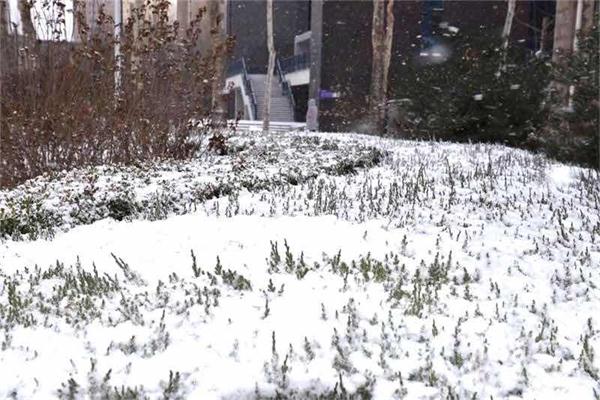 印象文中 | 最爱文山晴后雪，千里一色舞长天！