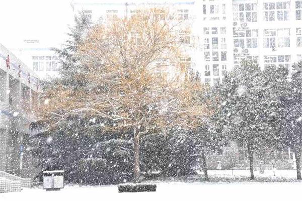 印象文中 | 最爱文山晴后雪，千里一色舞长天！