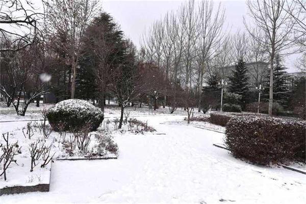 印象文中 | 最爱文山晴后雪，千里一色舞长天！