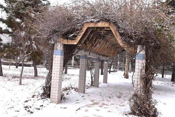 印象文中 | 最爱文山晴后雪，千里一色舞长天！
