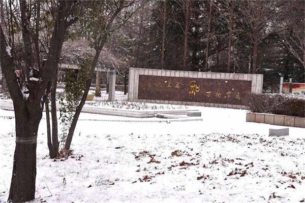 印象文中 | 最爱文山晴后雪，千里一色舞长天！
