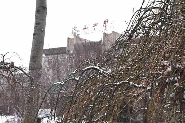 印象文中 | 最爱文山晴后雪，千里一色舞长天！