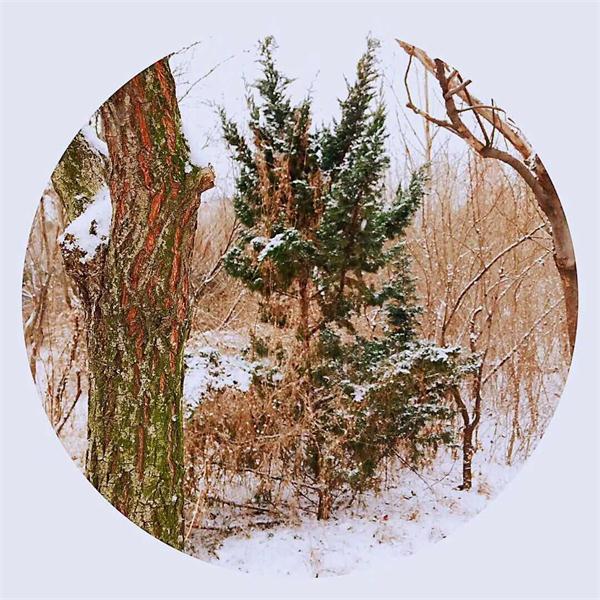 印象文中 | 最爱文山晴后雪，千里一色舞长天！