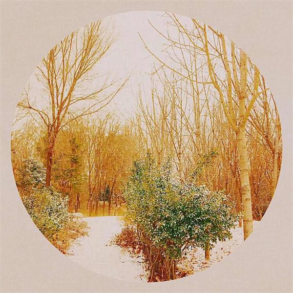 印象文中 | 最爱文山晴后雪，千里一色舞长天！