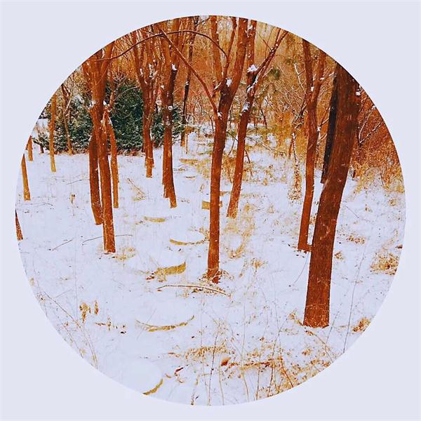印象文中 | 最爱文山晴后雪，千里一色舞长天！
