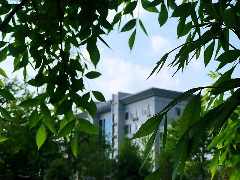 学校公告 | 有您参与，楹联将成为学校的人文景观！