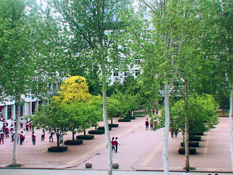学校公告 | 有您参与，楹联将成为学校的人文景观！