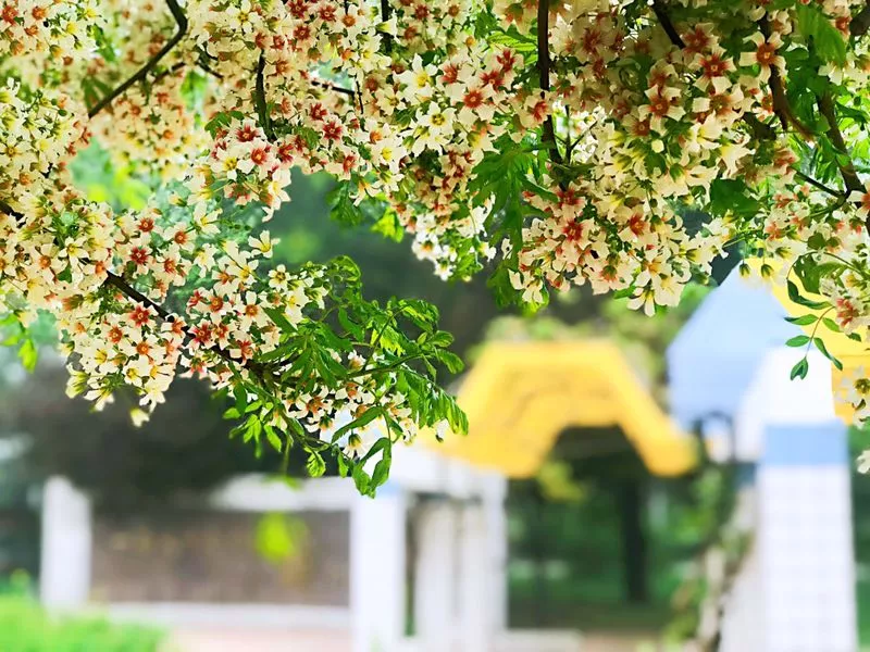 学校公告 | 有您参与，楹联将成为学校的人文景观！