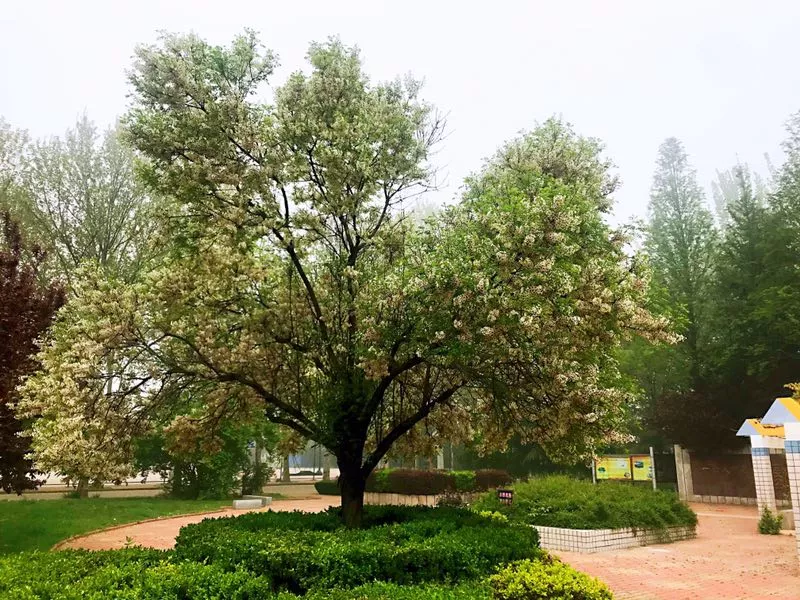 学校公告 | 有您参与，楹联将成为学校的人文景观！