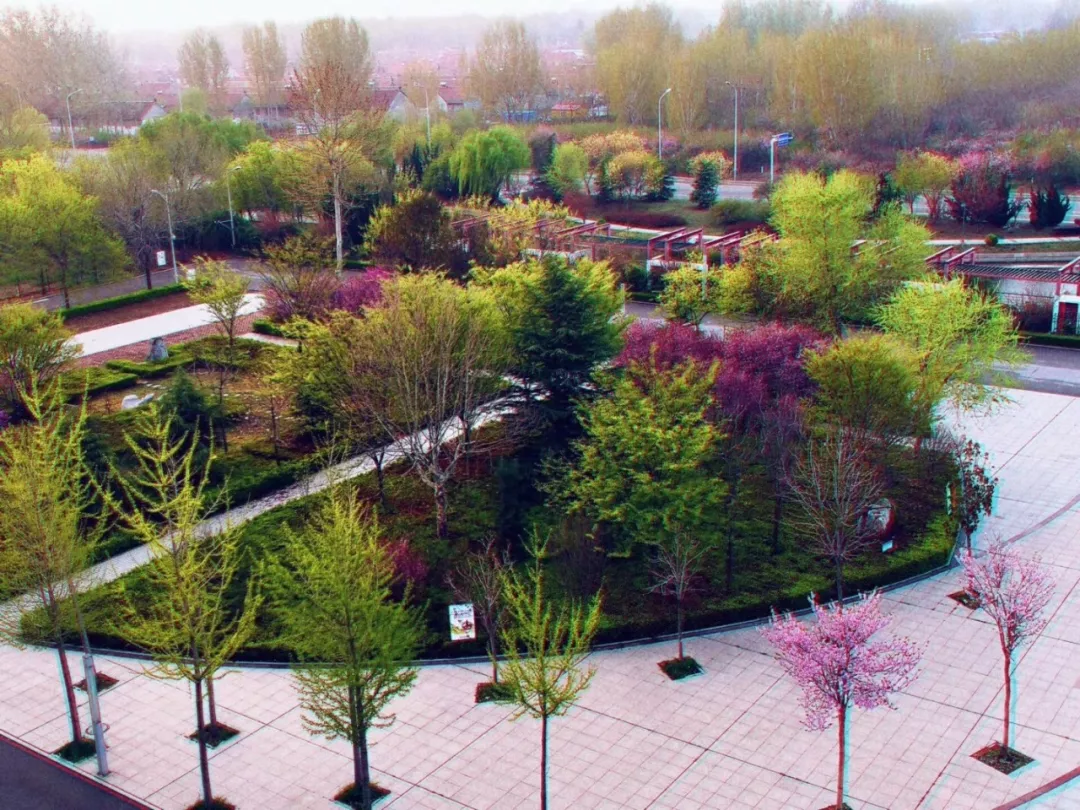 学校公告 | 有您参与，楹联将成为学校的人文景观！