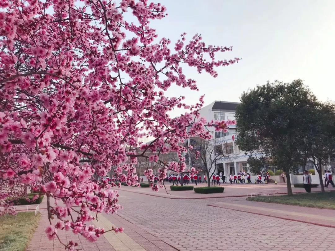 学校公告 | 有您参与，楹联将成为学校的人文景观！