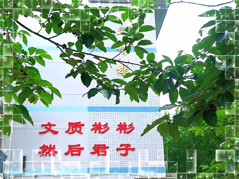 家长心声 | 文中柿林，我的梦在你的梦里！