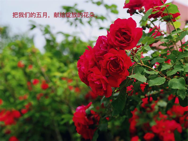 高考后记 | 青春不散场，传好接力棒！
