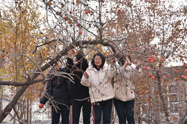 柿子节 | 奋斗正青春,永远跟党走!