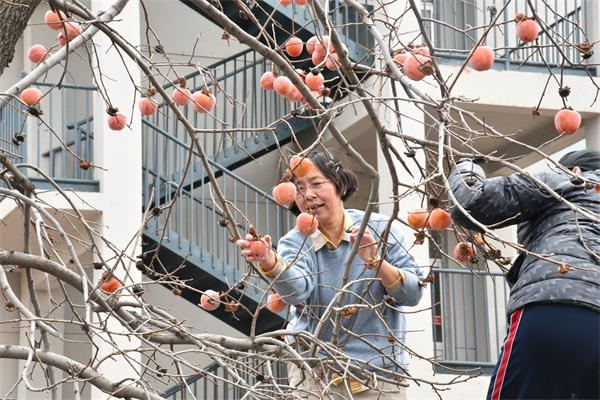 柿子节 | 奋斗正青春,永远跟党走!